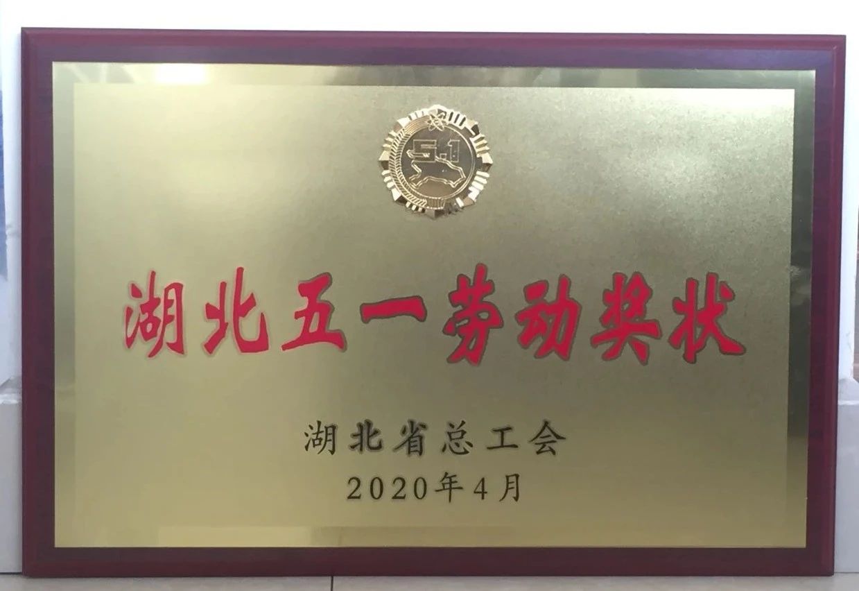 喜讯||FH（中国）重工又获省级殊荣